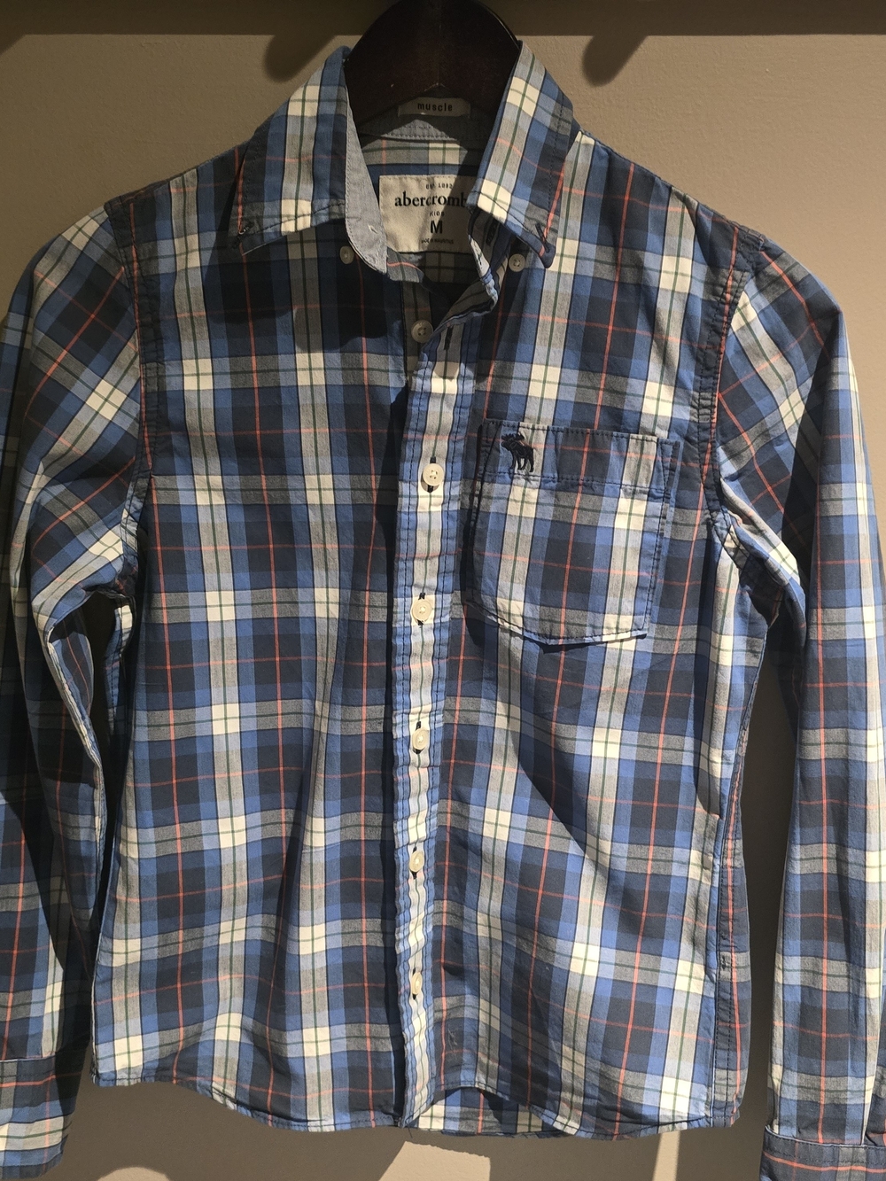 Abercrombie & Fitch Blue and White Plaid Button-Down Shirt